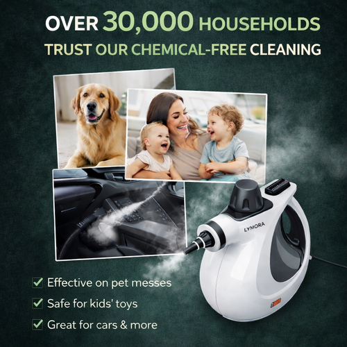 Lymora Puresteam Multi-Surface Natural Steam Cleaner