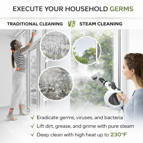 Lymora Puresteam Multi-Surface Natural Steam Cleaner